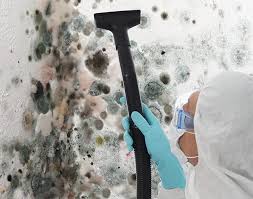 Best Emergency Mold Remediation in USA